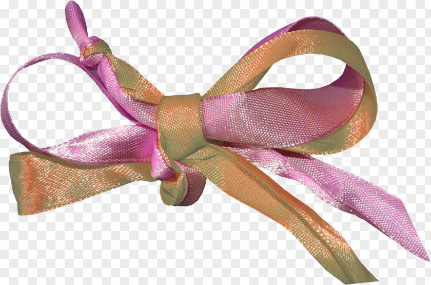 Bow Shoelace Knot Clip Art PNG