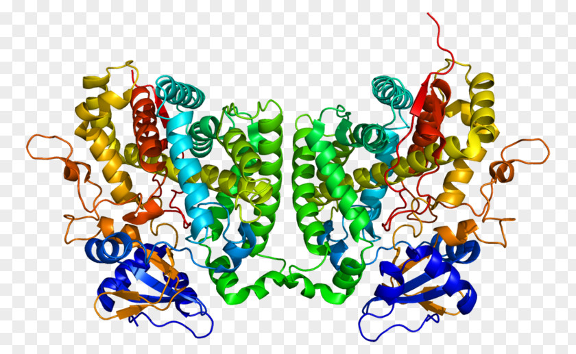 Cyp2r1 CYP2R1 Calcitriol Cytochrome P450 Vitamin D Calcifediol PNG