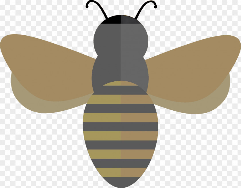 Hoverfly Carpenter Bee Butterfly PNG