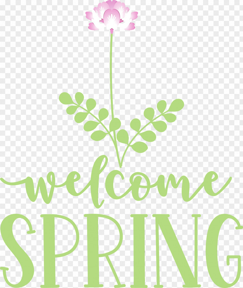 Floral Design PNG