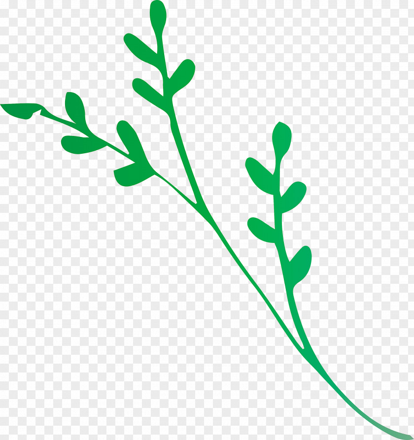 Leaf Branch PNG