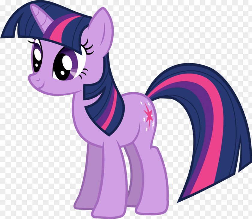 Sparkle Twilight Pinkie Pie Pony Rarity Applejack PNG