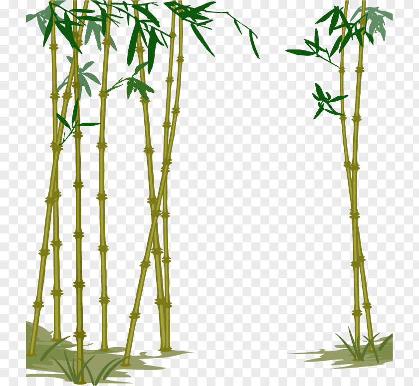 Vector Hand-painted Bamboo Bamboe Computer File PNG