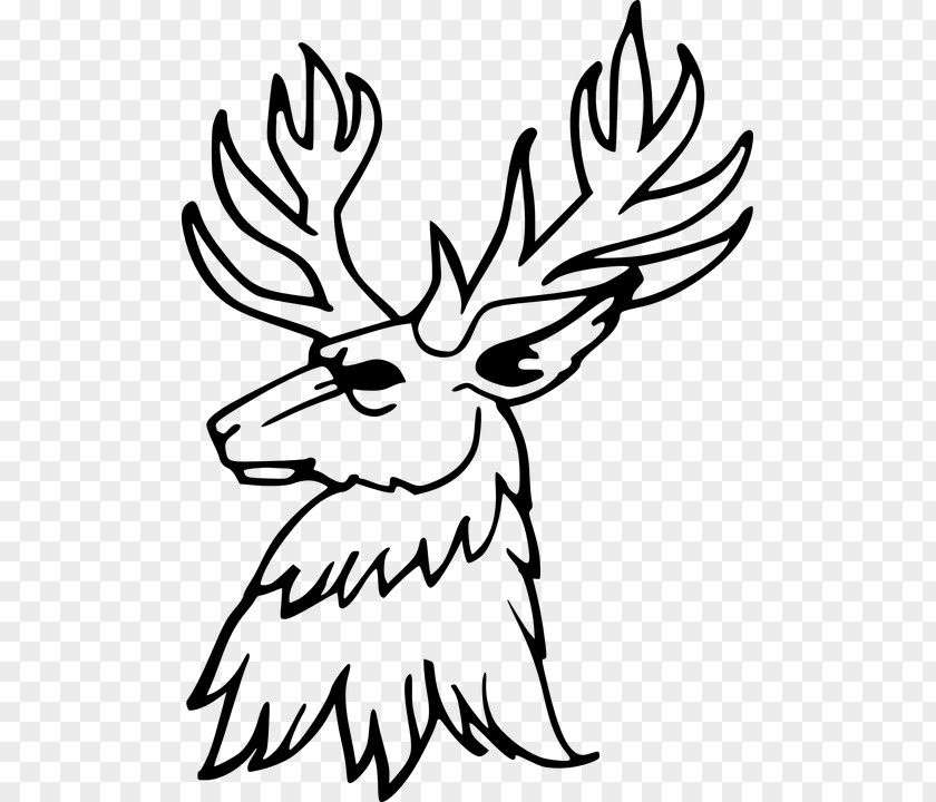 Deer Reindeer Drawing Antler Clip Art PNG
