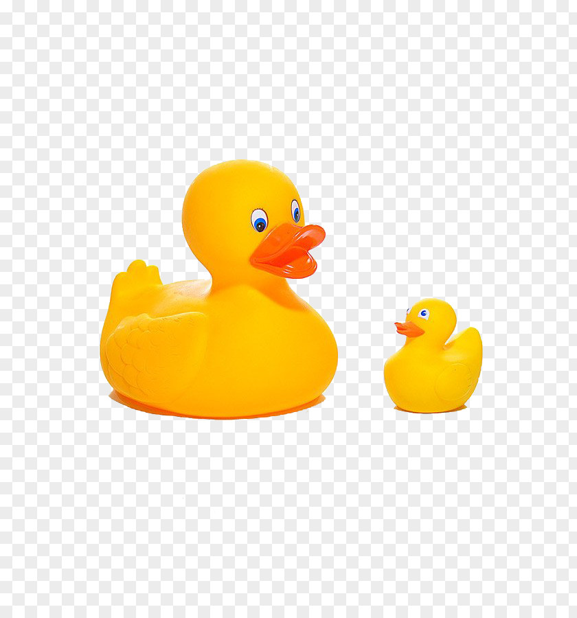 Duck Rubber Yellow Bathroom Toy PNG
