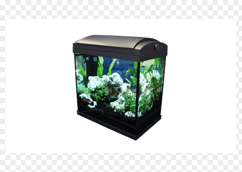 Fish Aquariums Nano Aquarium Dennerle PNG