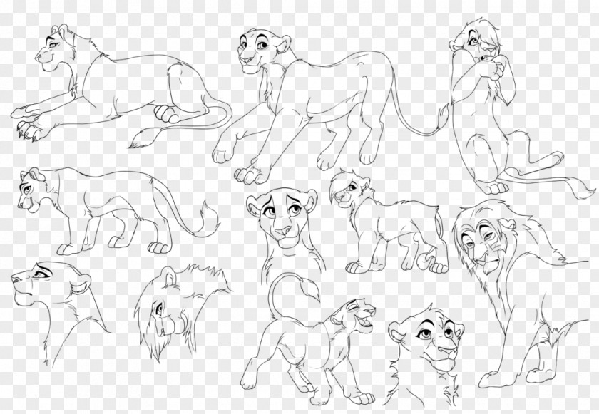 Lion Drawing Line Art Zira PNG