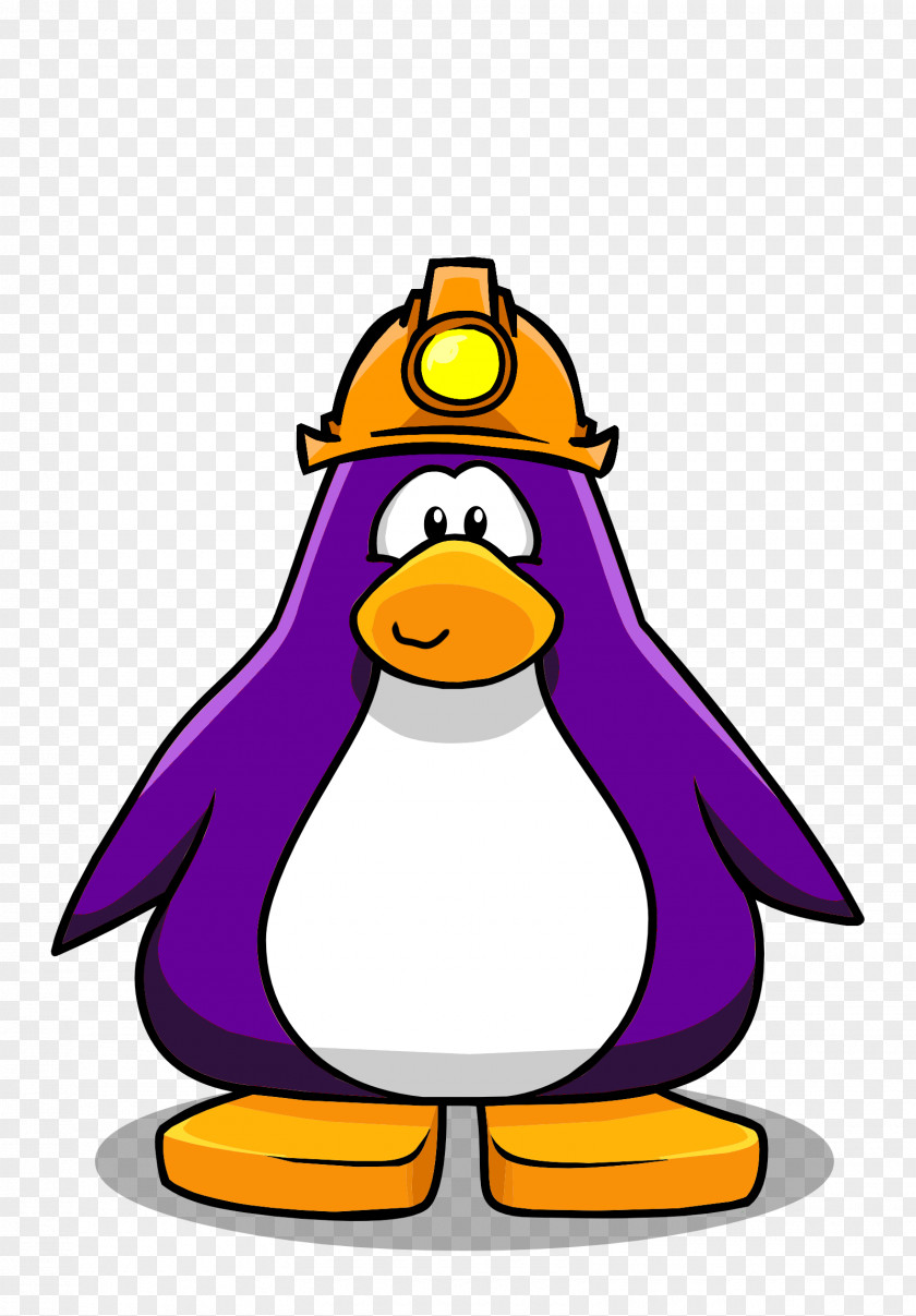 Mexican Hat Club Penguin Island Video Games Image PNG
