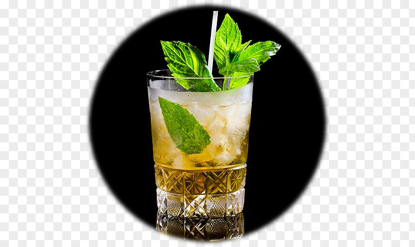 Mojito Mint Julep Cocktail Garnish PNG