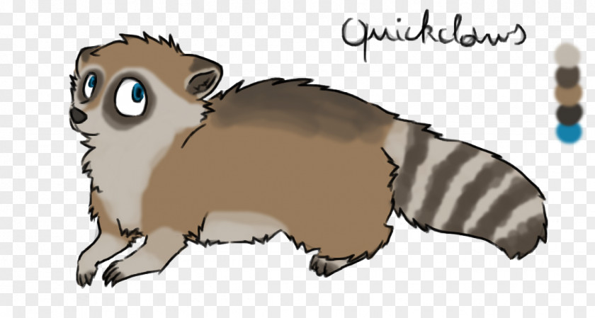 Raccoon Whiskers Cat Rodent Procyonidae PNG