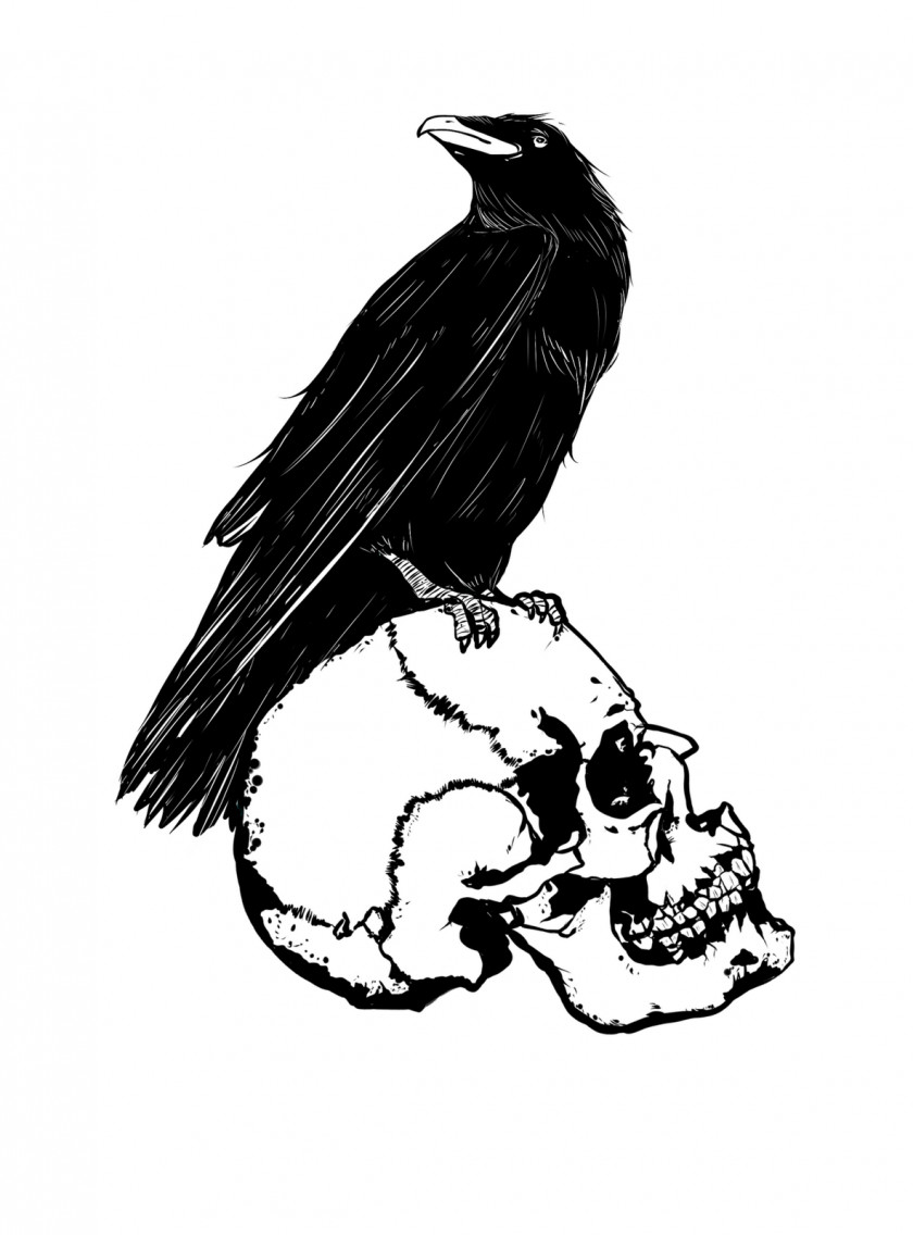 Raven Drawing Bird Anime Monochrome PNG Monochrome, crow clipart PNG