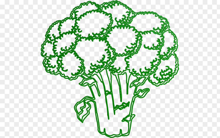 Vegetable Broccoli Education Fruit Pre-school PNG