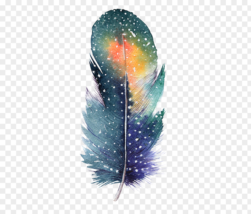 Feather Bird Drawing Color Painting PNG