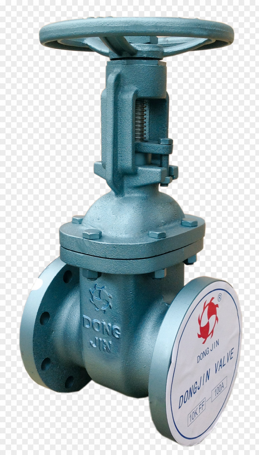 Gate Valve Steel Business Check PNG