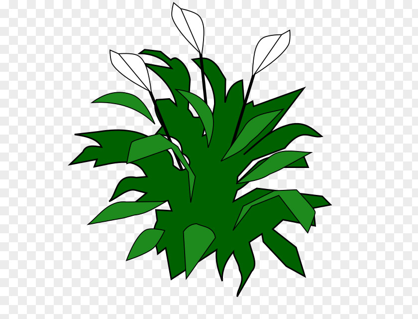 Lily Color Green Clip Art PNG