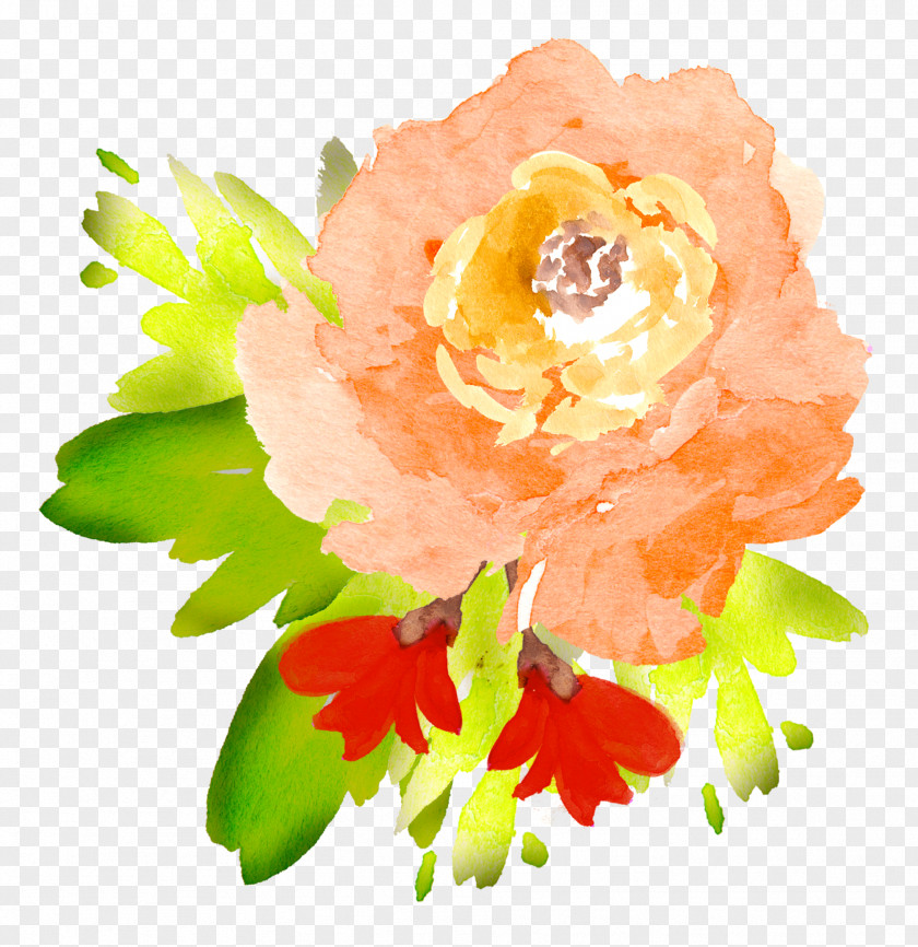 Watercolour Flower Floral Design Watercolor Painting Clip Art PNG