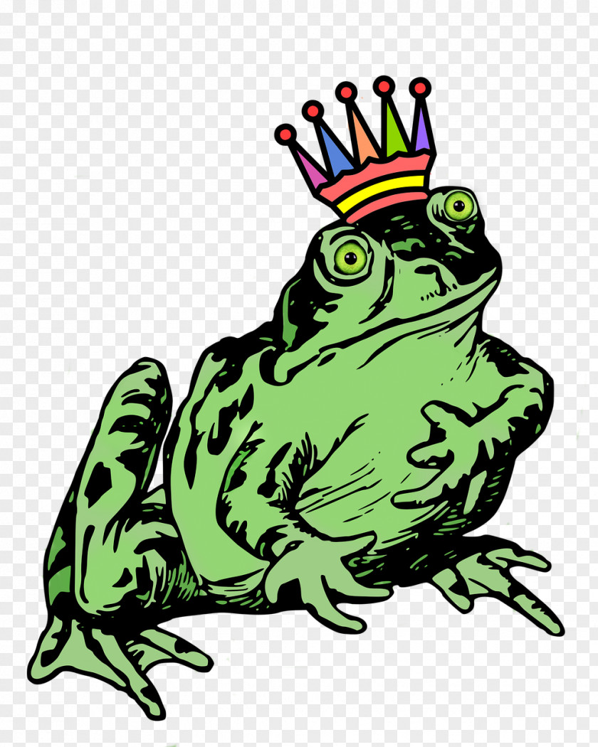 Amphibian Frog Drawing Clip Art PNG