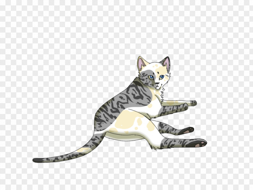 Cat Tabby Drawing DeviantArt Ivypool PNG