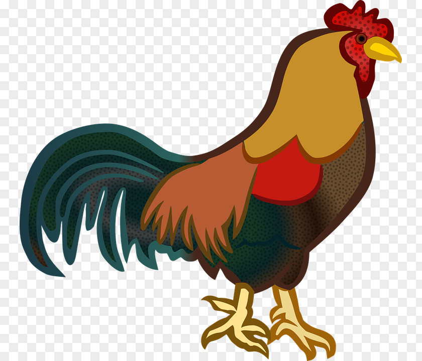 Chicken Clip Art Rooster Image Openclipart PNG