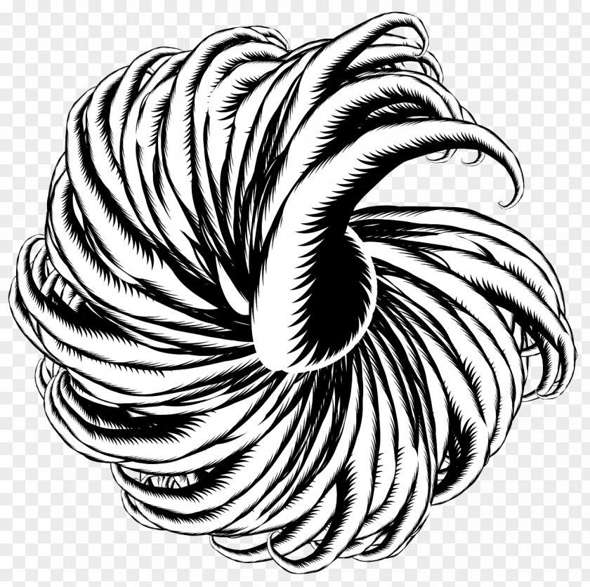 Creature Drawing Abstract Art Black And White Sketch Image PNG