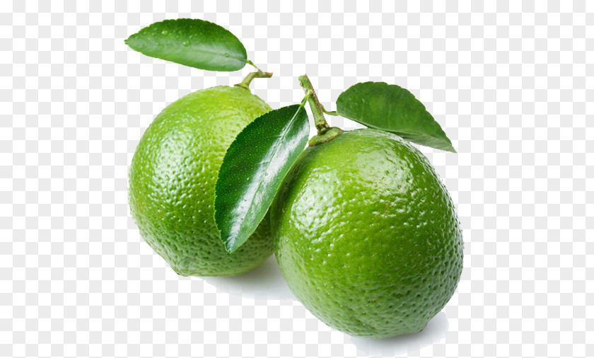 Lime Bitter Orange Lemon Citrus Xd7 Sinensis Fruit Bergamot PNG