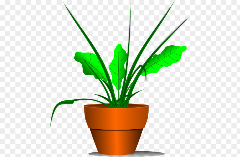 No Plants Cliparts Houseplant Clip Art PNG