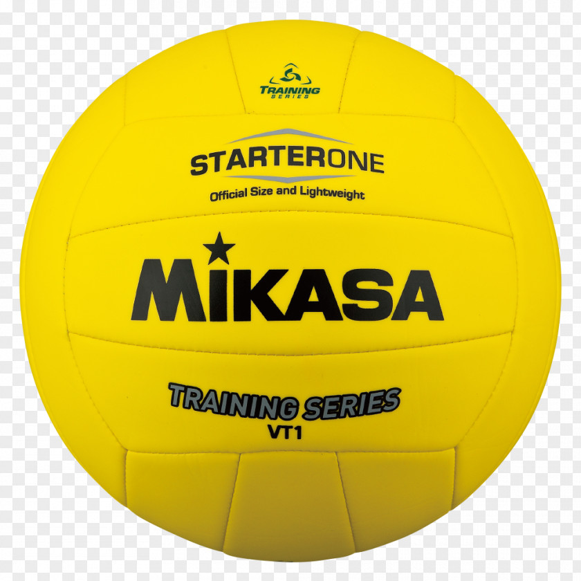 Volleyball Medicine Balls PNG
