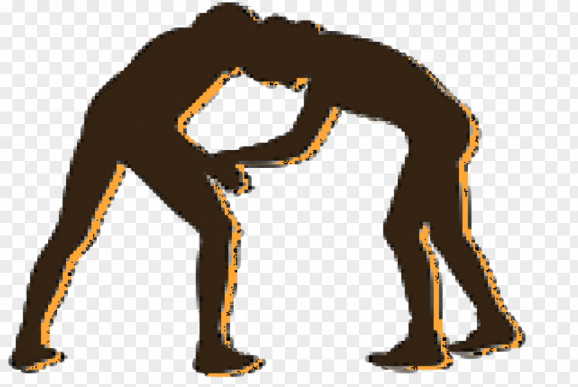 Wrestling Freestyle Greco-Roman Sport Clip Art PNG