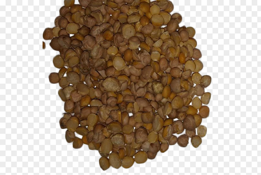 CHICK PEAS Commodity Seed Mixture PNG