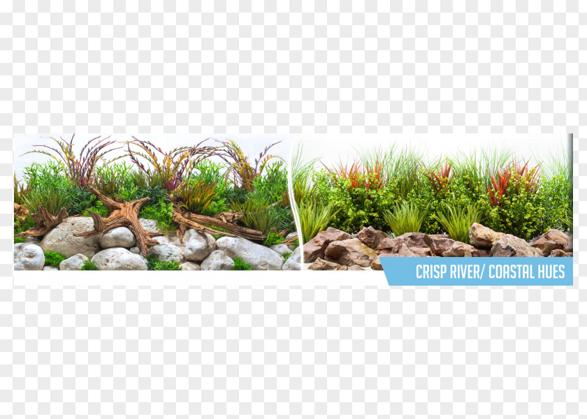 Crisp Grasses Landscaping River Bkgd Centimeter PNG