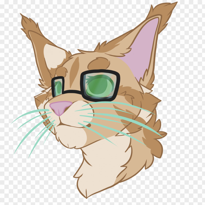 Kitten Whiskers Tabby Cat PNG