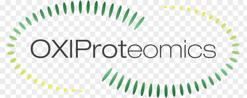 Where Are Proteins Macromolecule Is Made In The Bo Logo Brand Product Design Font PNG
