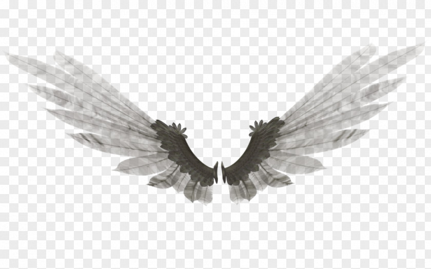 Angel Wings Wing DeviantArt Feather Bethor Digital Art PNG