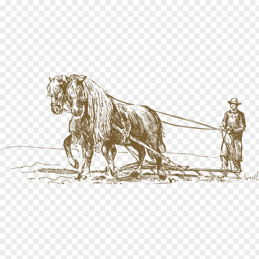 Horse Plowing Cattle Drawing Agriculture PNG