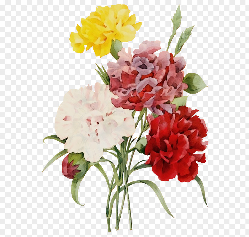 Pink Family Carnation Artificial Flower PNG