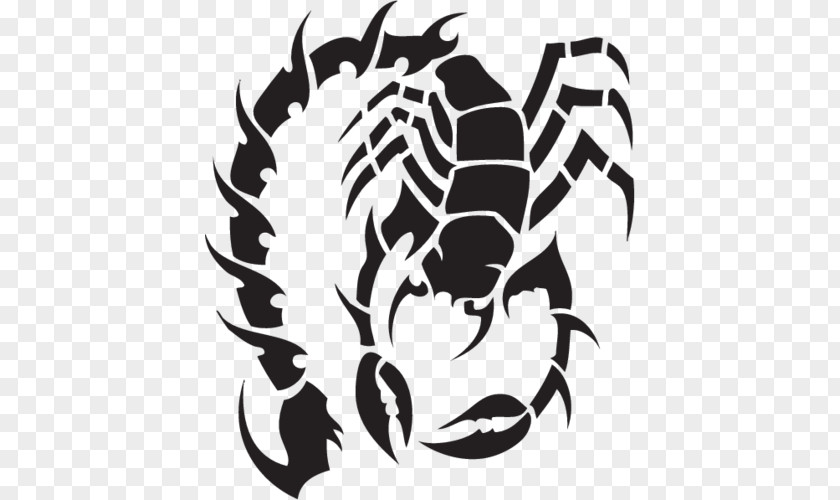 Scorpion Tattoo Clip Art PNG