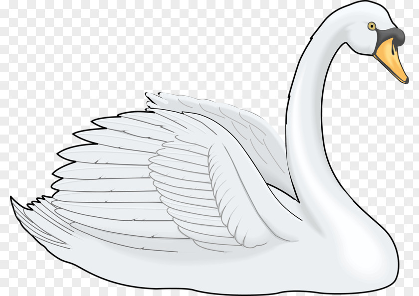 White Swan Cygnini Painting Clip Art PNG