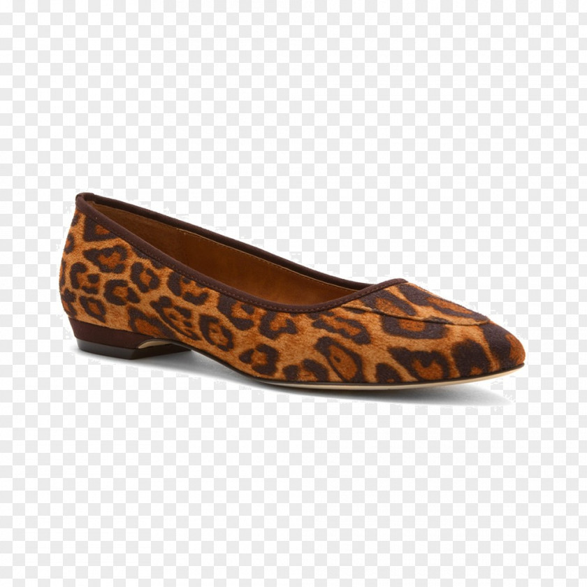 Animals Watercolor Ballet Flat Slip-on Shoe Footwear Suede PNG