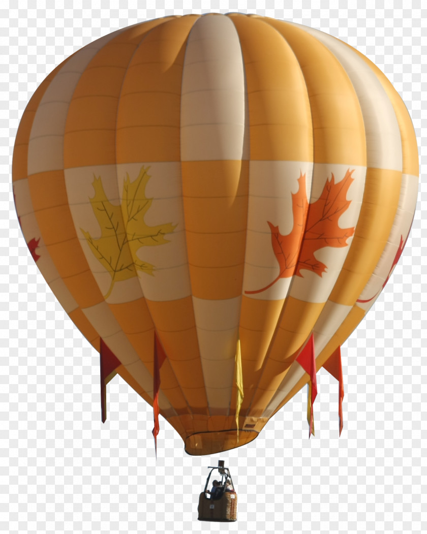 Balloon Hot Air Airplane PNG