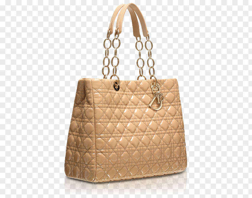Chanel Christian Dior SE Handbag Lady PNG