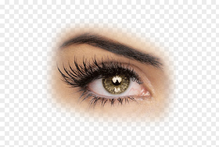 Eyelashes Eyelash Extensions Beauty Parlour Artificial Hair Integrations Hairstyle PNG