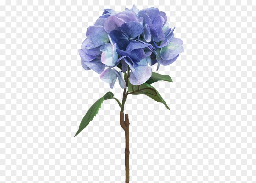Flower Cabbage Rose Hydrangea Cut Flowers Floral Design PNG
