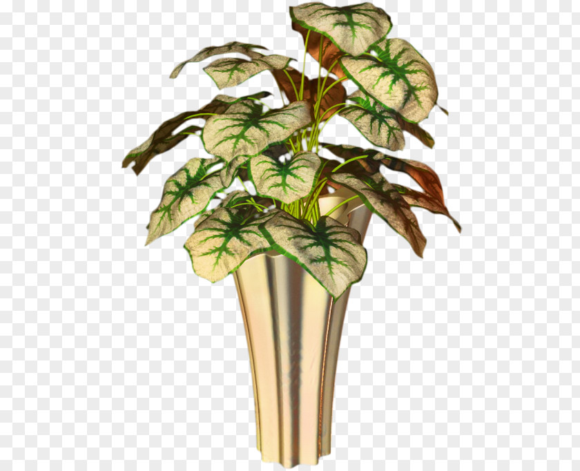 Flowerpot Leaf Houseplant Plant Stem Tree PNG