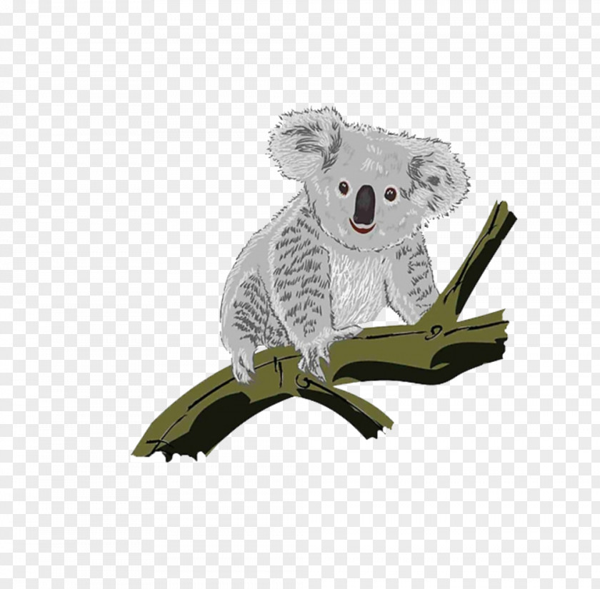 Koala Climbing Trees Download PNG
