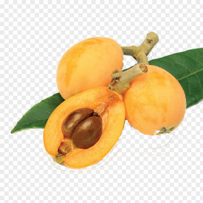 Loquat Fruit Food Vegetable Papaya PNG