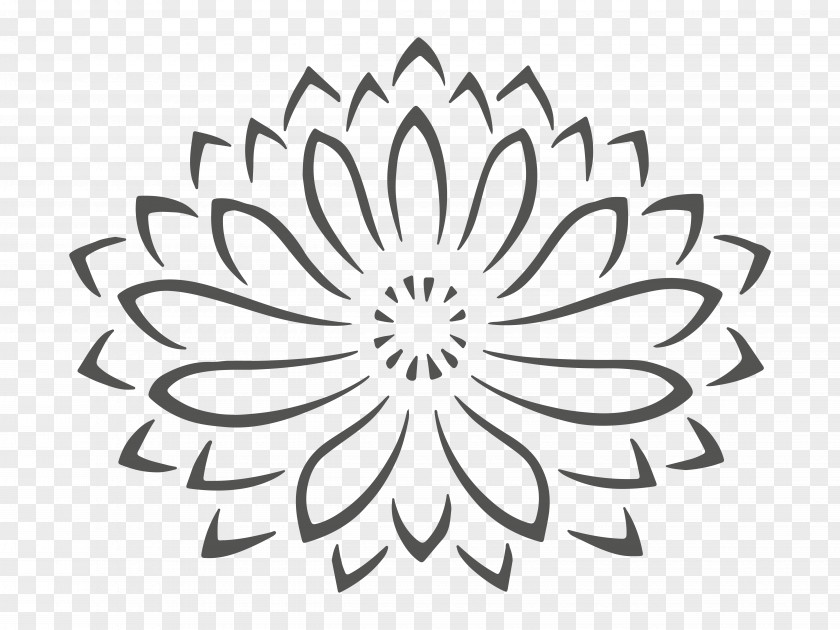 Massage Therapy Petal Logo Font Flowering Plant Leaf PNG
