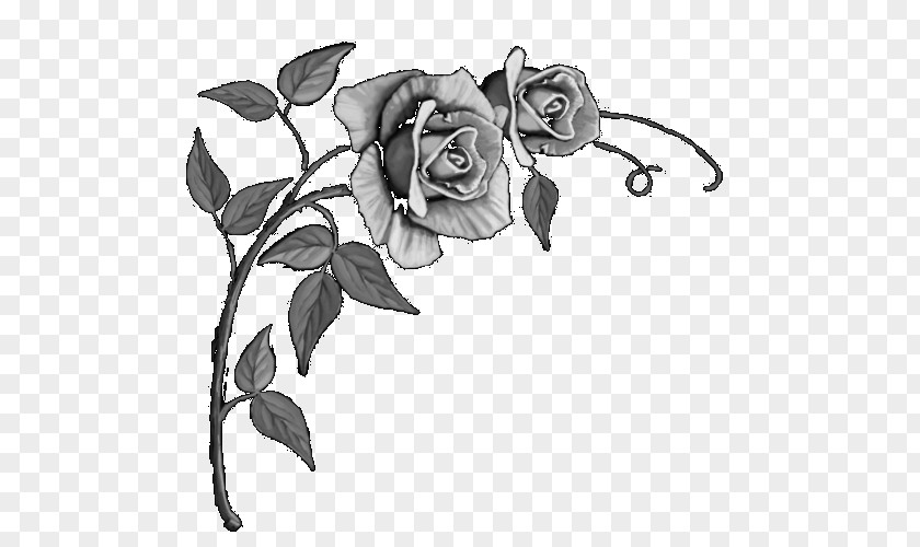 Rose Left Garden Roses Headstone Floral Design Sketch PNG