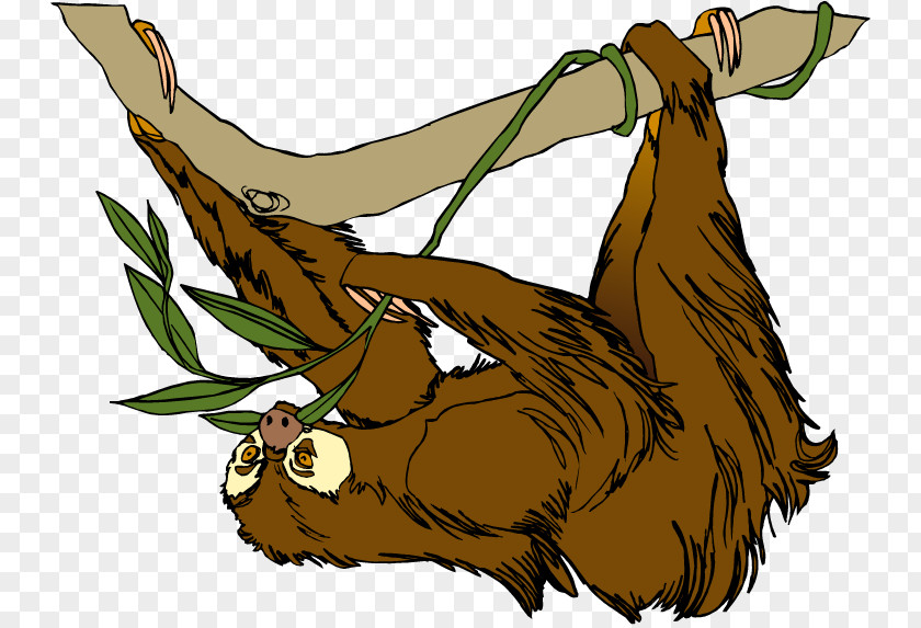 Sloth Cliparts Free Content Clip Art PNG