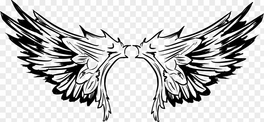 Vector Tattoo Bird Wings Of The Pro PNG