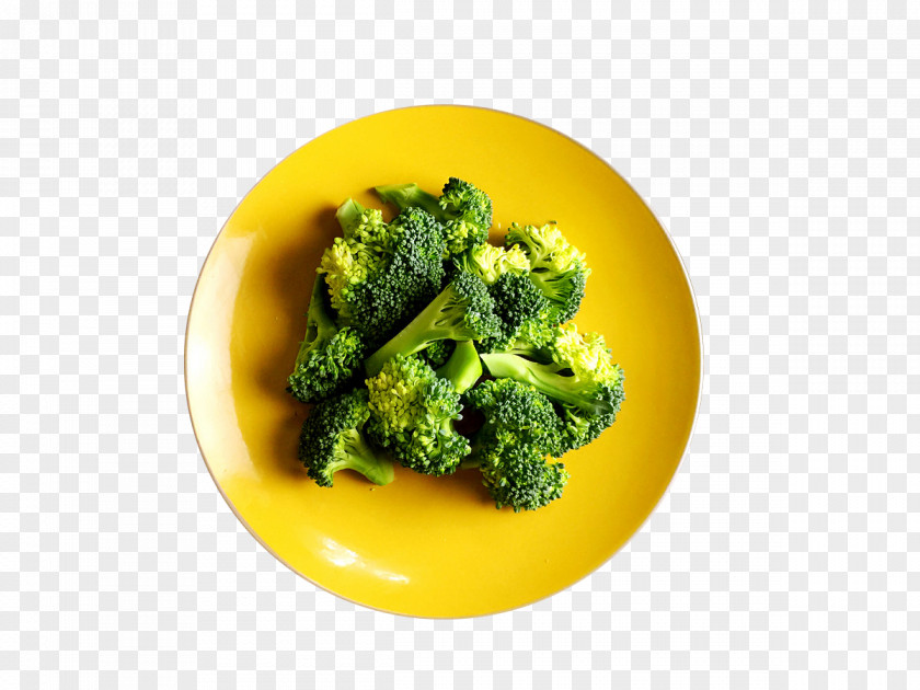 A Plate Of Broccoli Food Vegetable Eating Drinking PNG